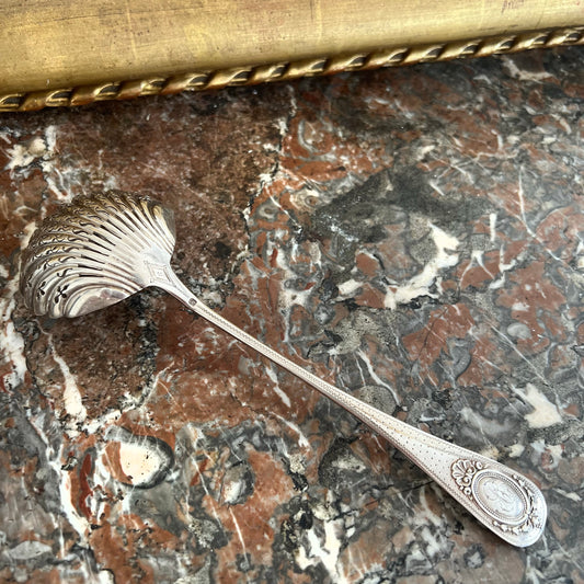 Cuillère à saupoudrer