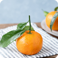 Plateaux de fruits & de fromage