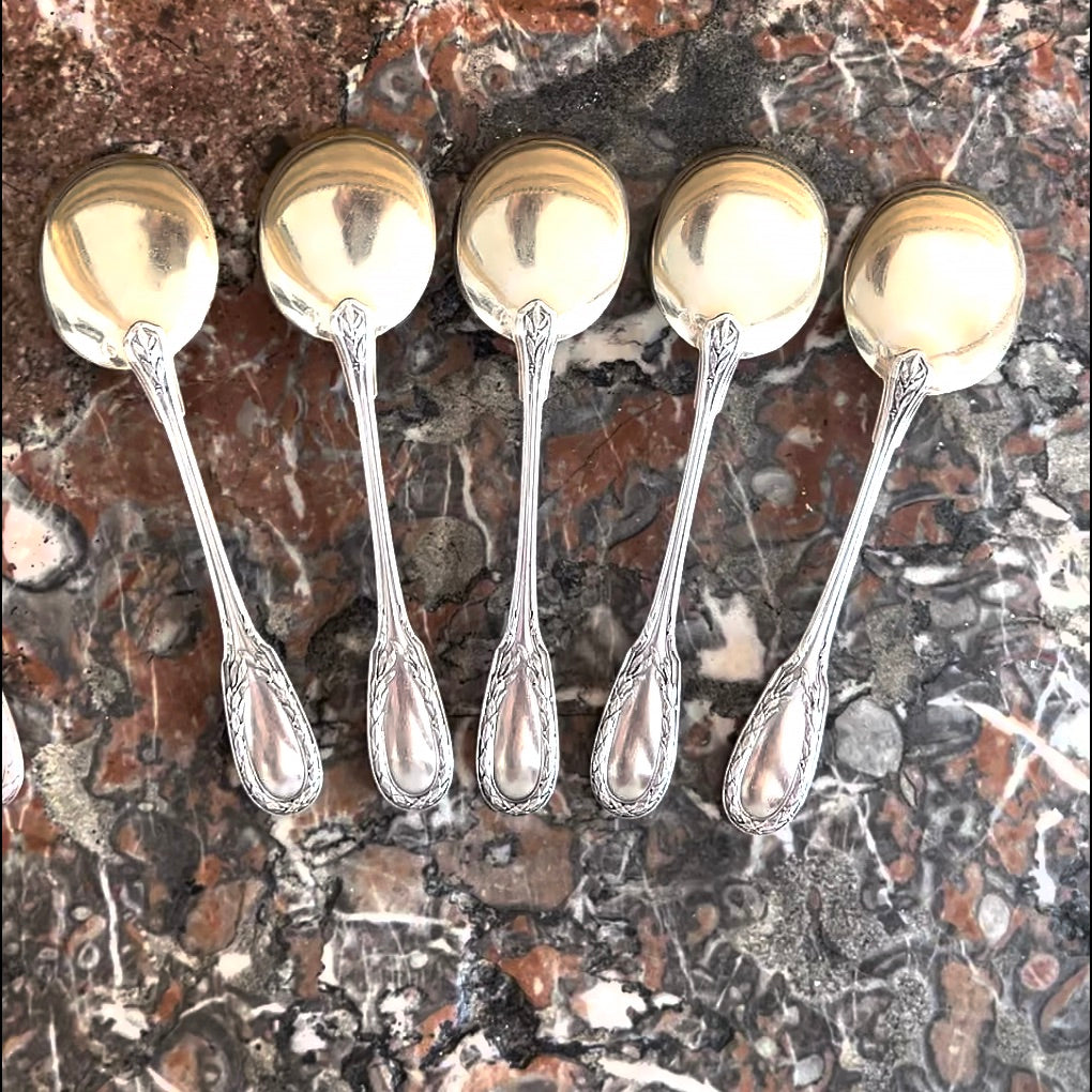 Cuillères à glace, 6 pcs