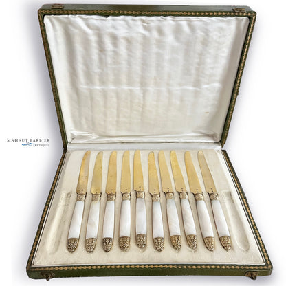 Couteaux à fruits, 10 pcs