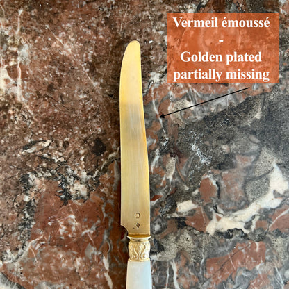 Couteaux à fruits, 10 pcs