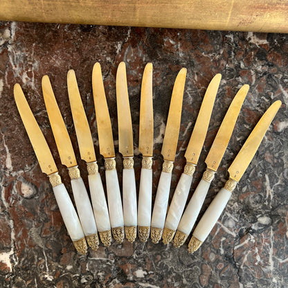 Couteaux à fruits, 10 pcs