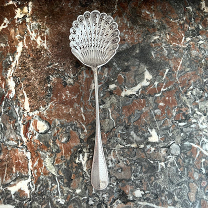 Cuillère à saupoudrer