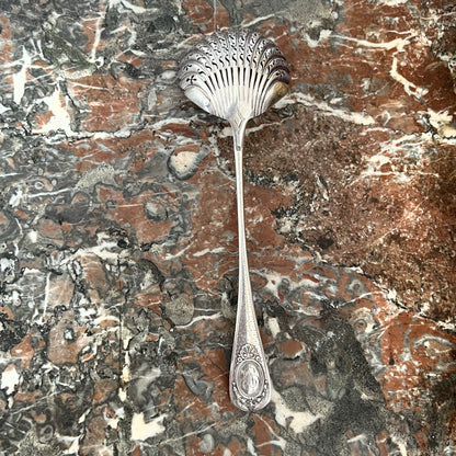 Cuillère à saupoudrer